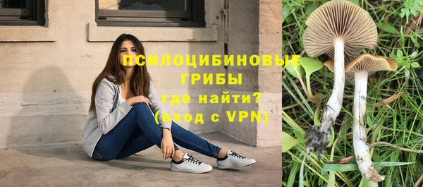 крисы Горнозаводск