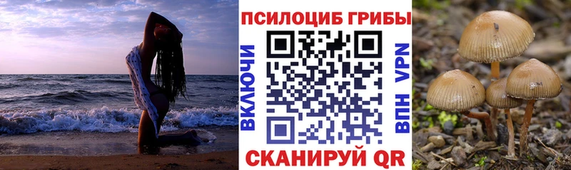 Галлюциногенные грибы прущие грибы Заозёрск
